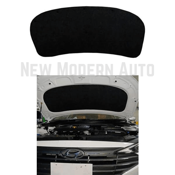 Hyundai Elantra Bonet Protector/Namda